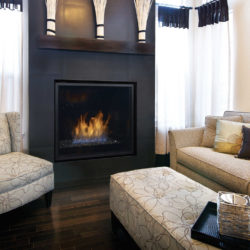 Regency Gas Fireplaces HZ965E-2